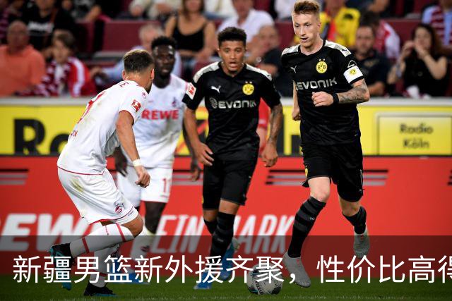 新疆男篮新外援齐聚，性价比高得让人笑出声！