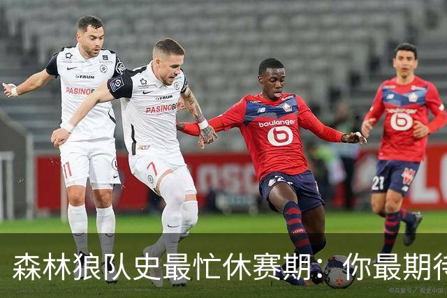 森林狼队史最忙休赛期：你最期待谁的新赛季首秀？
