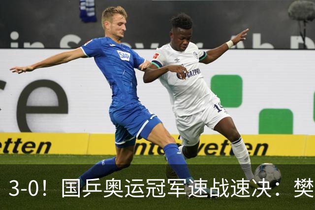 3-0！国乒奥运冠军速战速决：樊振东狂轰三个11-4，再次大获全胜